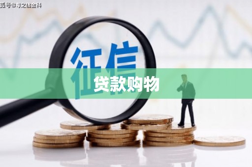新洲贷款购物