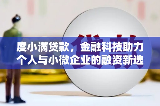 新洲度小满贷款，金融科技助力个人与小微企业的融资新选择