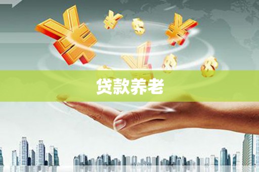 新洲贷款养老