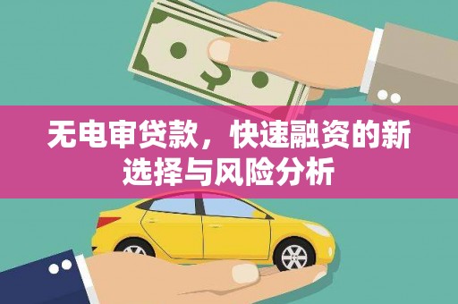 新洲无电审贷款，快速融资的新选择与风险分析