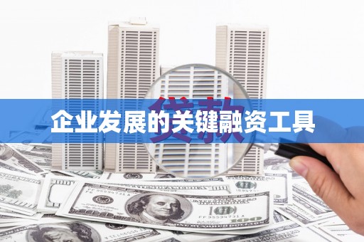 新洲企业发展的关键融资工具