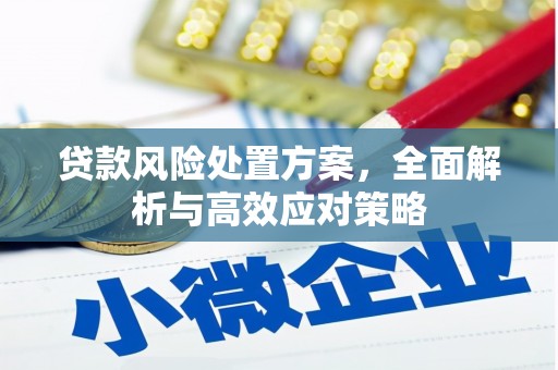 新洲贷款风险处置方案，全面解析与高效应对策略