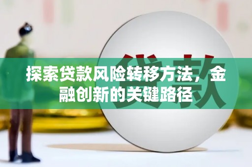 新洲探索贷款风险转移方法，金融创新的关键路径