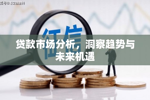 新洲贷款市场分析，洞察趋势与未来机遇
