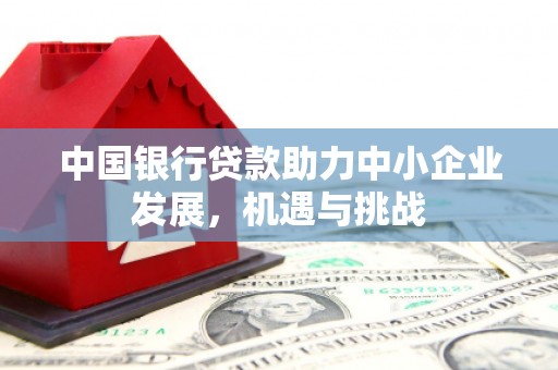 新洲中国银行贷款助力中小企业发展，机遇与挑战