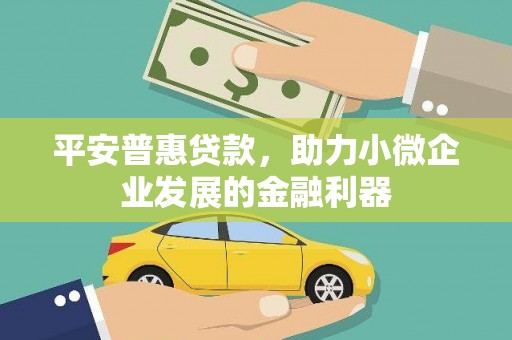 新洲平安普惠贷款，助力小微企业发展的金融利器