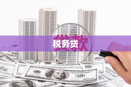 新洲税务贷