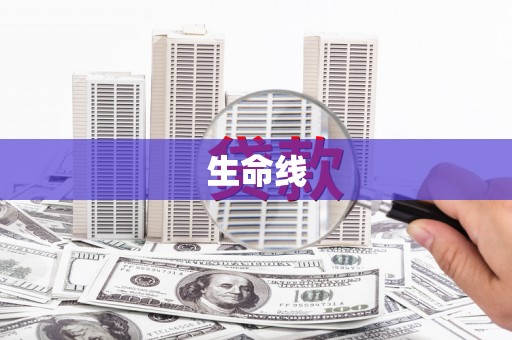 新洲生命线