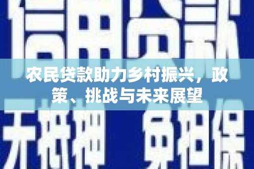 新洲农民贷款助力乡村振兴，政策、挑战与未来展望