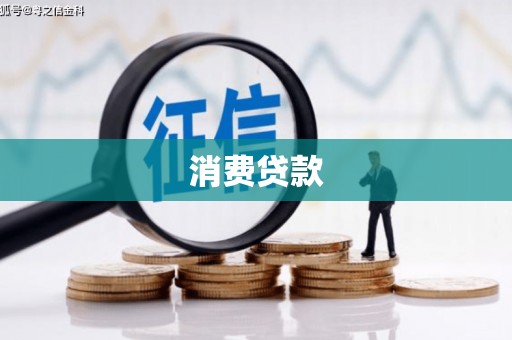 新洲消费贷款