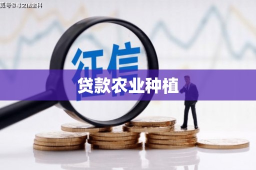 新洲贷款农业种植