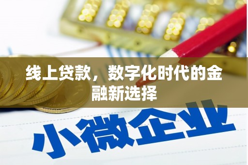 新洲线上贷款，数字化时代的金融新选择