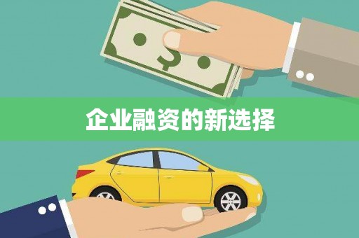 新洲企业融资的新选择