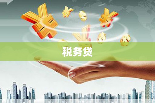 新洲税务贷