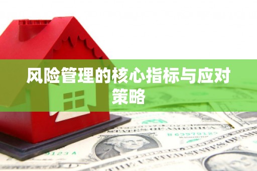 新洲风险管理的核心指标与应对策略
