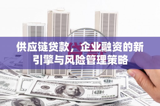 新洲供应链贷款，企业融资的新引擎与风险管理策略