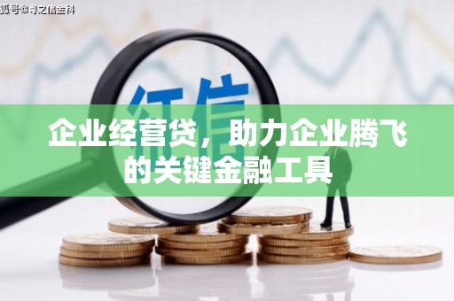 新洲企业经营贷，助力企业腾飞的关键金融工具