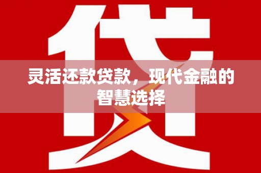 新洲灵活还款贷款，现代金融的智慧选择