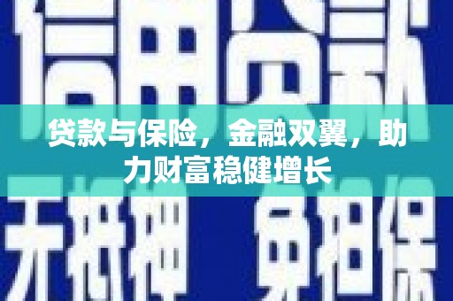 新洲贷款与保险，金融双翼，助力财富稳健增长