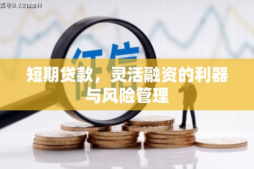 新洲短期贷款，灵活融资的利器与风险管理