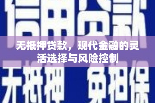 新洲无抵押贷款，现代金融的灵活选择与风险控制