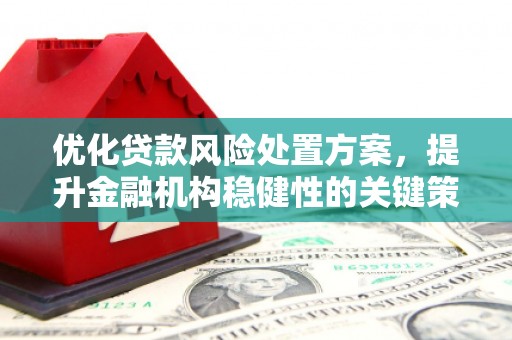 新洲优化贷款风险处置方案，提升金融机构稳健性的关键策略