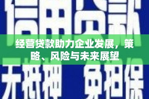新洲经营贷款助力企业发展，策略、风险与未来展望
