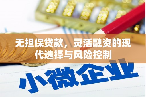 新洲无担保贷款，灵活融资的现代选择与风险控制