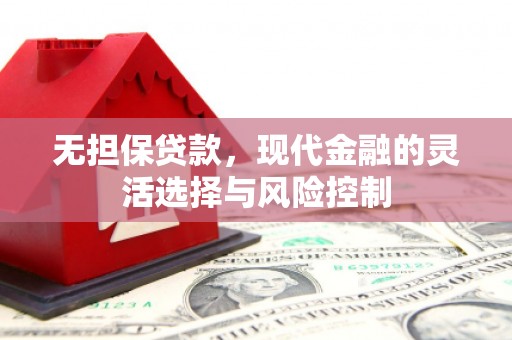 新洲无担保贷款，现代金融的灵活选择与风险控制