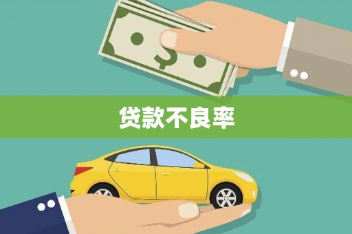 新洲贷款不良率