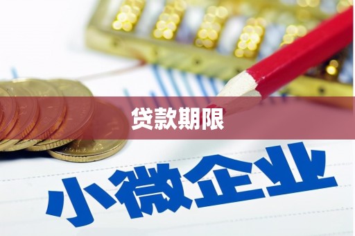 新洲贷款期限