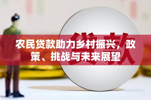 新洲农民贷款助力乡村振兴，政策、挑战与未来展望