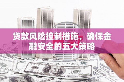 新洲贷款风险控制措施，确保金融安全的五大策略