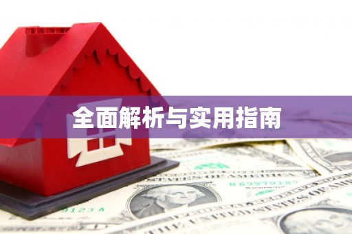 新洲全面解析与实用指南