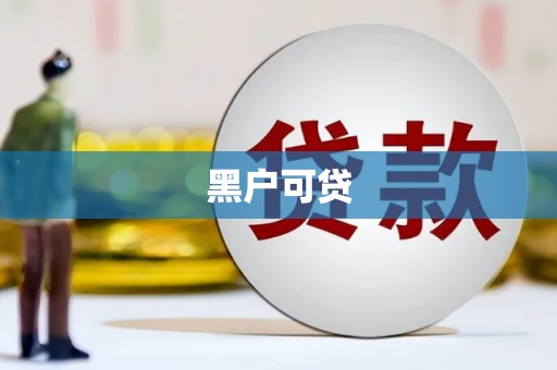 新洲黑户可贷