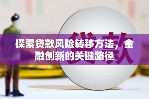 新洲探索贷款风险转移方法，金融创新的关键路径