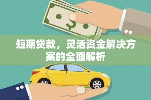 新洲短期贷款，灵活资金解决方案的全面解析