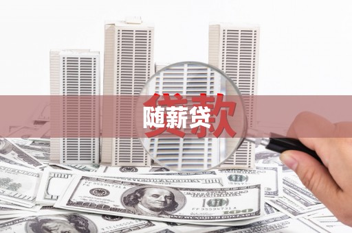 新洲随薪贷