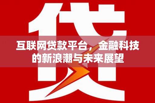 新洲互联网贷款平台，金融科技的新浪潮与未来展望