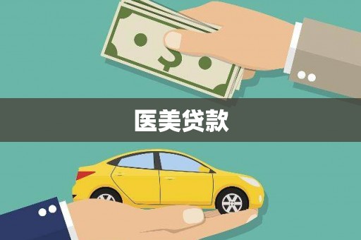 新洲医美贷款