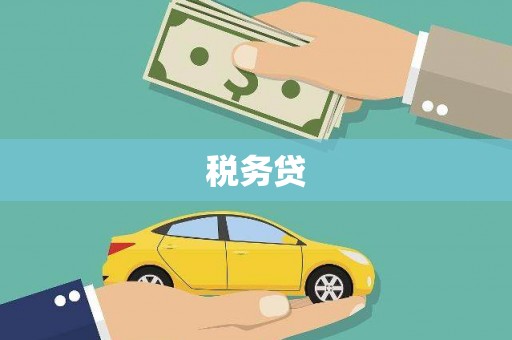 新洲税务贷