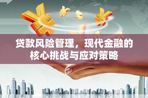 新洲贷款风险管理，现代金融的核心挑战与应对策略