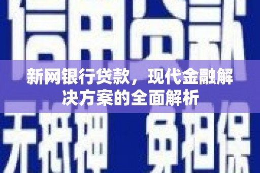 新洲新网银行贷款，现代金融解决方案的全面解析