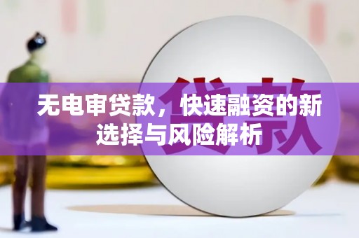 新洲无电审贷款，快速融资的新选择与风险解析