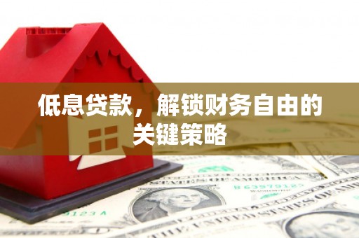 新洲低息贷款，解锁财务自由的关键策略