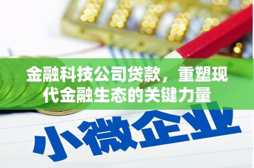 新洲金融科技公司贷款，重塑现代金融生态的关键力量