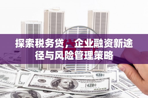 新洲探索税务贷，企业融资新途径与风险管理策略