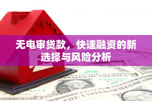 新洲无电审贷款，快速融资的新选择与风险分析