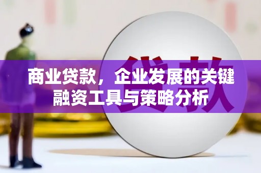 新洲商业贷款，企业发展的关键融资工具与策略分析