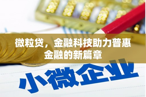 新洲微粒贷，金融科技助力普惠金融的新篇章